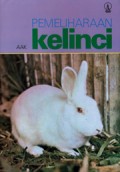Pemeliharaan Kelinci