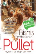Bisnis Pembesaran Pullet