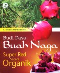 Budi Daya Buah Naga Super Red Secara Organik