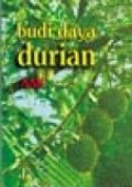 Budi Daya Durian