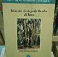 Identikit Jenis-jenis Bambu di Jawa