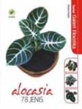 Serial Galeri Eksotika: Alocasia 78 Jenis