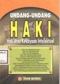 Undang-Undang HAKI (Hak Atas Kekayaan Intelektual)