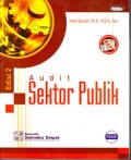 Audit Sektor Publik