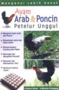 Ayam Arab dan Poncin Petelur Unggul