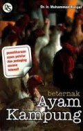Beternak Ayam Kampung
