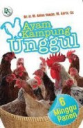 Ayam Kampung Unggul 6 Minggu Panen