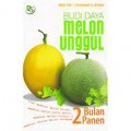 Budidaya Melon Unggul