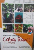 Meraup Untung Bertanam Cabai Rawit dengan Polybag