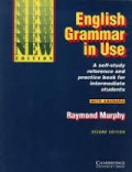 English Grammar in Use; A Reference and Practice Book for Intermediate Students