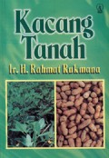 Kacang Tanah