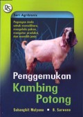 Penggemukan Kambing potong