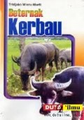 Beternak Kerbau