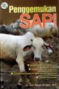 Penggemukan Sapi