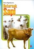 Beternak Sapi