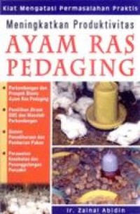 Meningkatkan Produktivitas Ayam Ras Pedaging