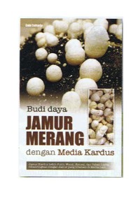 Budi daya JamurMerang dengan Media Kardus
