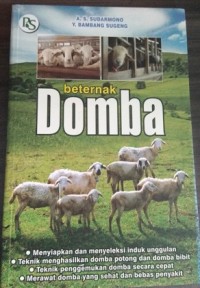 Beternak Domba