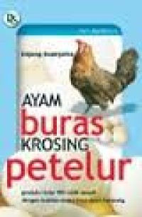 Ayam Buras Krosing Petelur