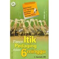 Panen Itik Pedaging dalam 6 Minngu