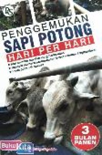 Penggemukan Sapi Potong Hari per Hari 3 Bulan Panen