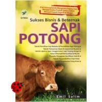Sukses Bisnis dan Beternak Sapi Potong